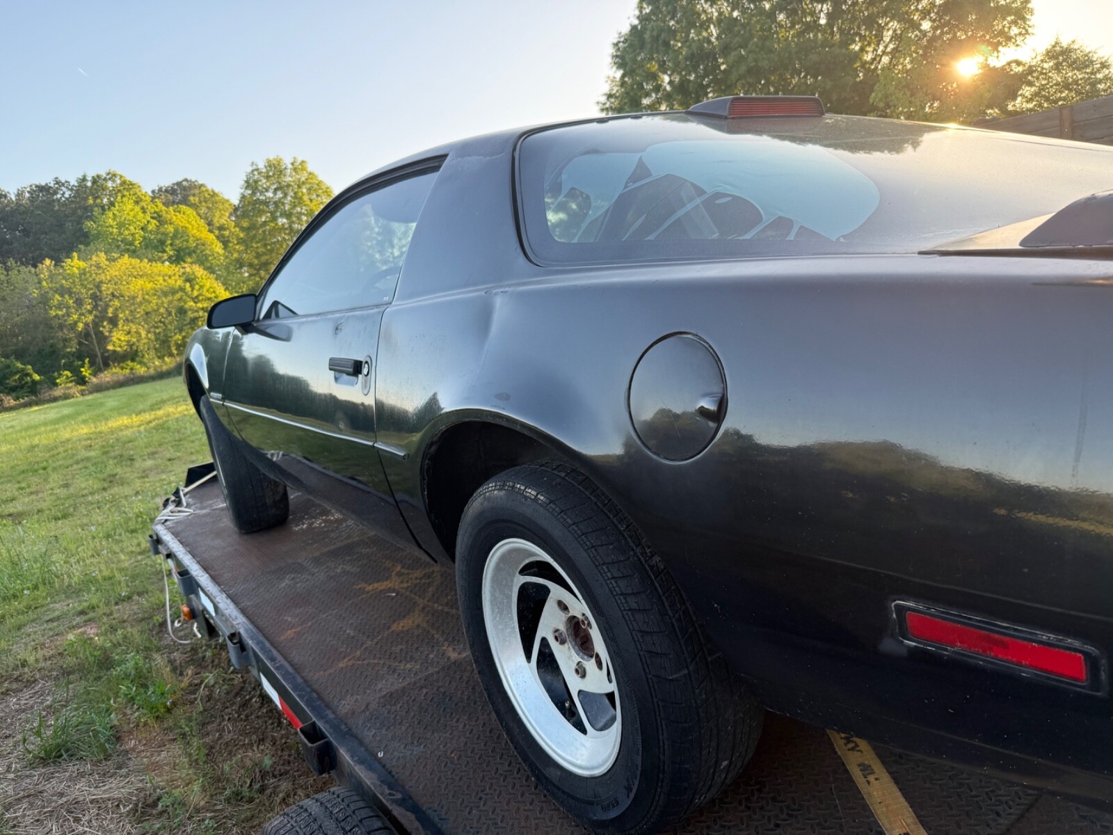 Pontiac-Trans-Am-1982-7