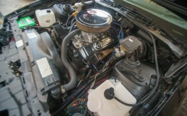 Pontiac-Trans-Am-1983-Coupe-18