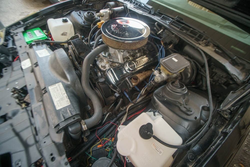 Pontiac-Trans-Am-1983-Coupe-18