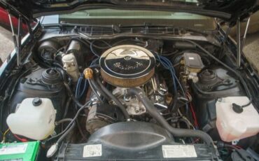 Pontiac-Trans-Am-1983-Coupe-19