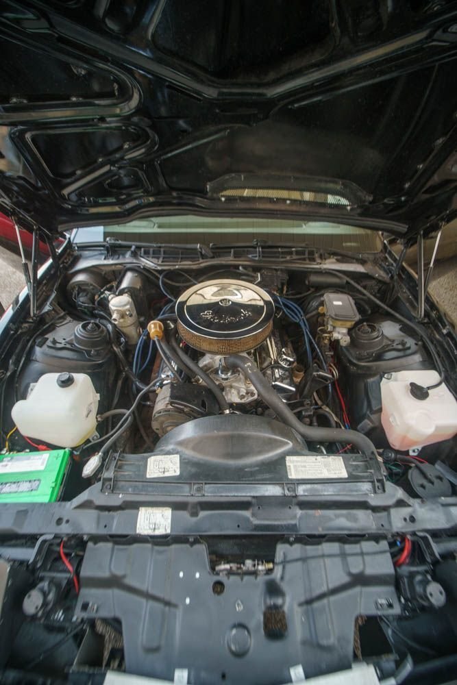 Pontiac-Trans-Am-1983-Coupe-19