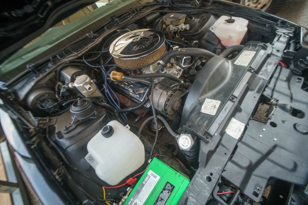 Pontiac-Trans-Am-1983-Coupe-20