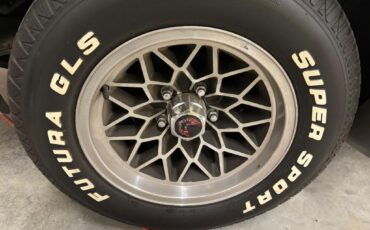 Pontiac-Trans-Am-built-455-4speed-1976-14