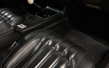 Pontiac-Trans-Am-built-455-4speed-1976-17
