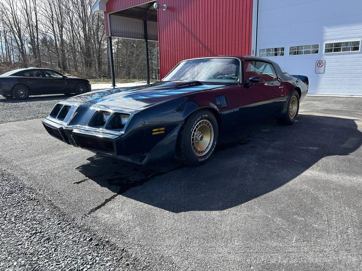 Pontiac-Trans-am-4.9-turbo-1981-blue-1