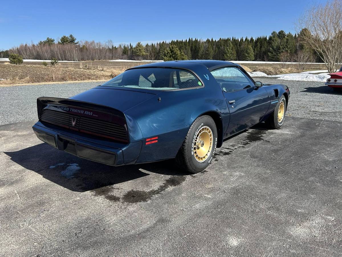 Pontiac-Trans-am-4.9-turbo-1981-blue-10
