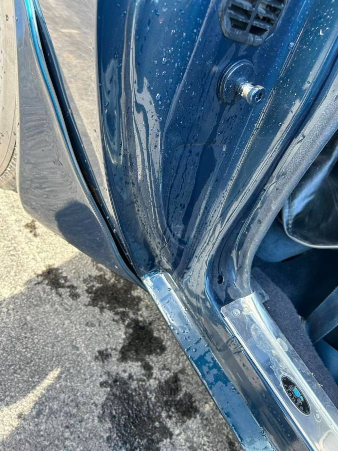 Pontiac-Trans-am-4.9-turbo-1981-blue-11