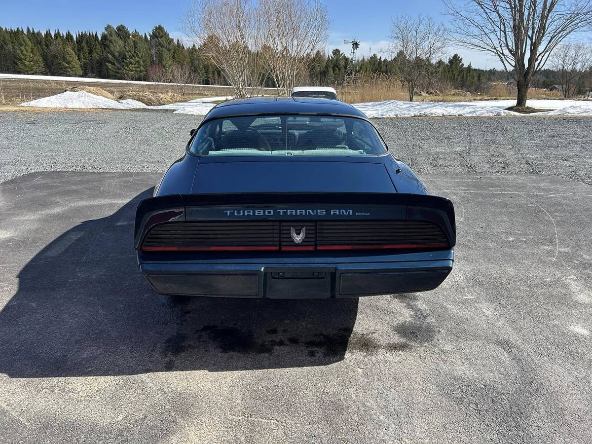 Pontiac-Trans-am-4.9-turbo-1981-blue-14