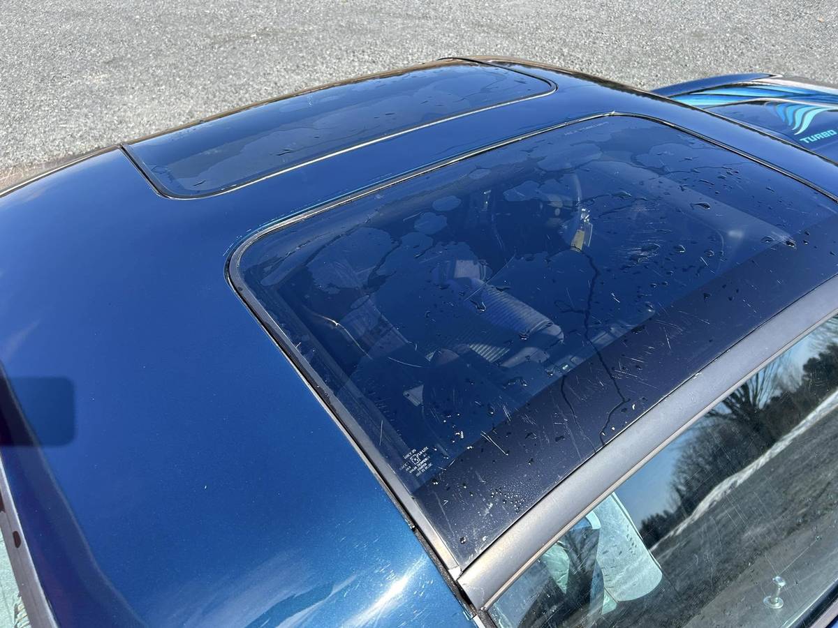 Pontiac-Trans-am-4.9-turbo-1981-blue-15