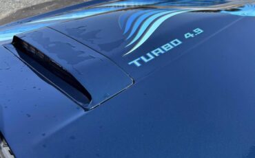 Pontiac-Trans-am-4.9-turbo-1981-blue-16