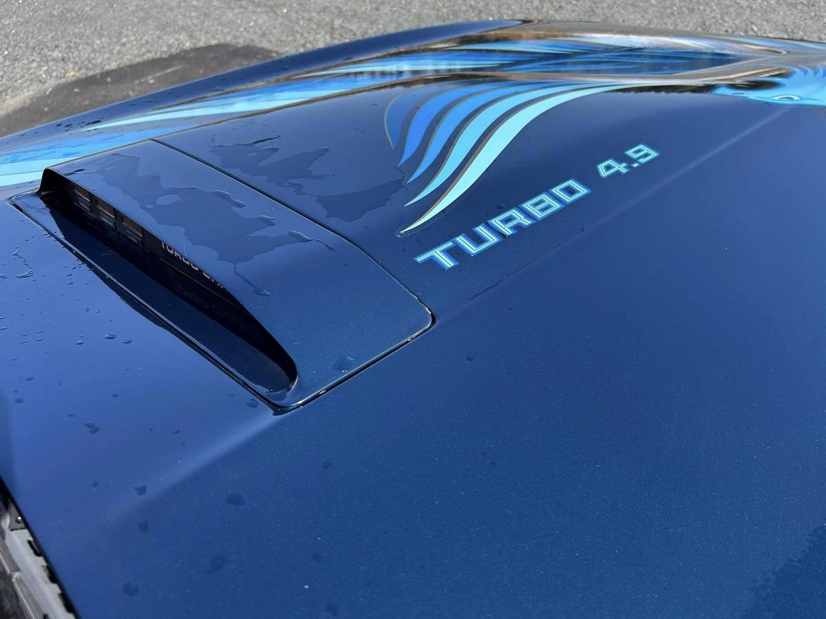 Pontiac-Trans-am-4.9-turbo-1981-blue-16