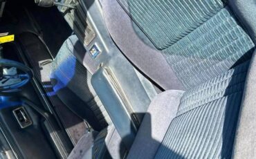 Pontiac-Trans-am-4.9-turbo-1981-blue-17