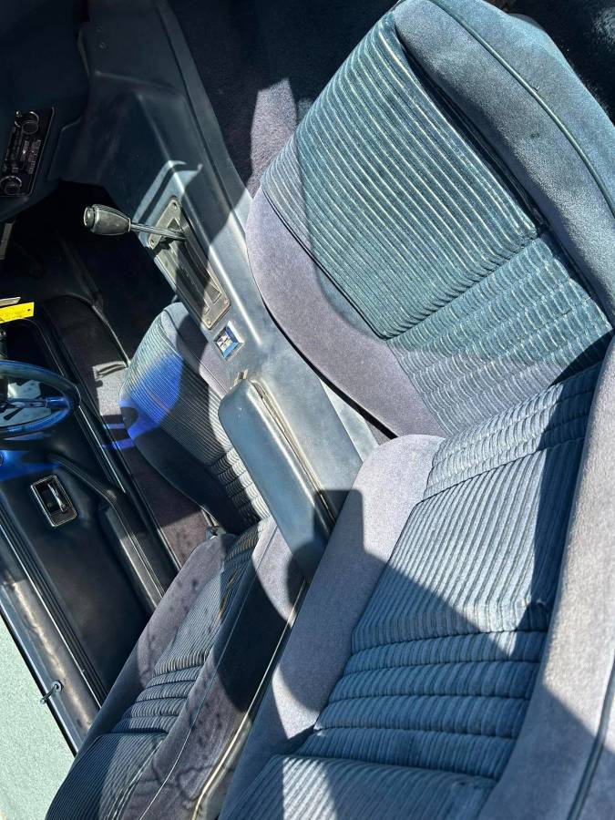 Pontiac-Trans-am-4.9-turbo-1981-blue-17