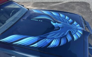 Pontiac-Trans-am-4.9-turbo-1981-blue-18