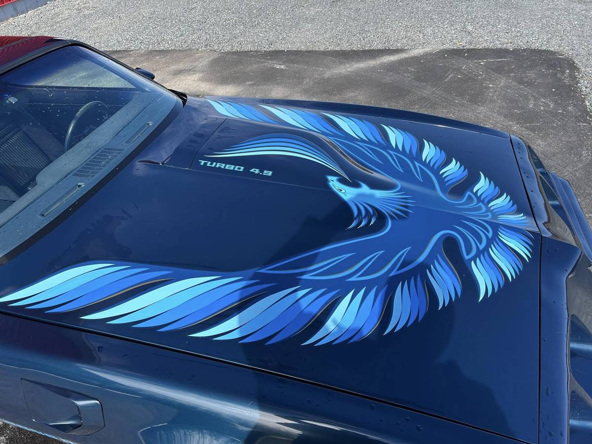 Pontiac-Trans-am-4.9-turbo-1981-blue-18