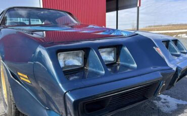 Pontiac-Trans-am-4.9-turbo-1981-blue-19
