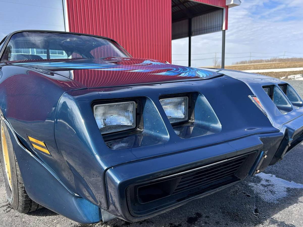 Pontiac-Trans-am-4.9-turbo-1981-blue-19