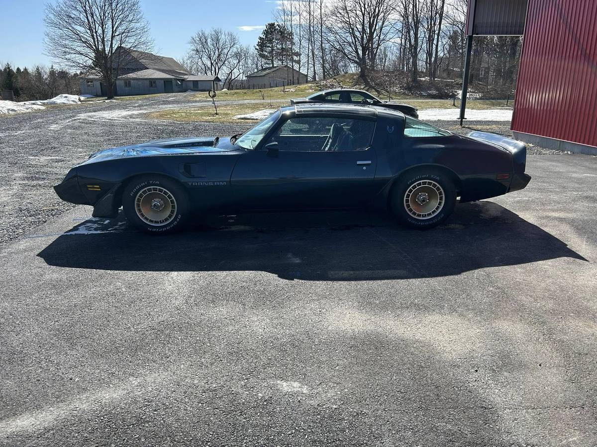 Pontiac-Trans-am-4.9-turbo-1981-blue-2