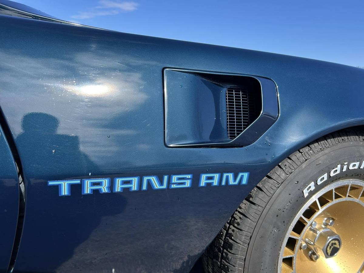 Pontiac-Trans-am-4.9-turbo-1981-blue-20