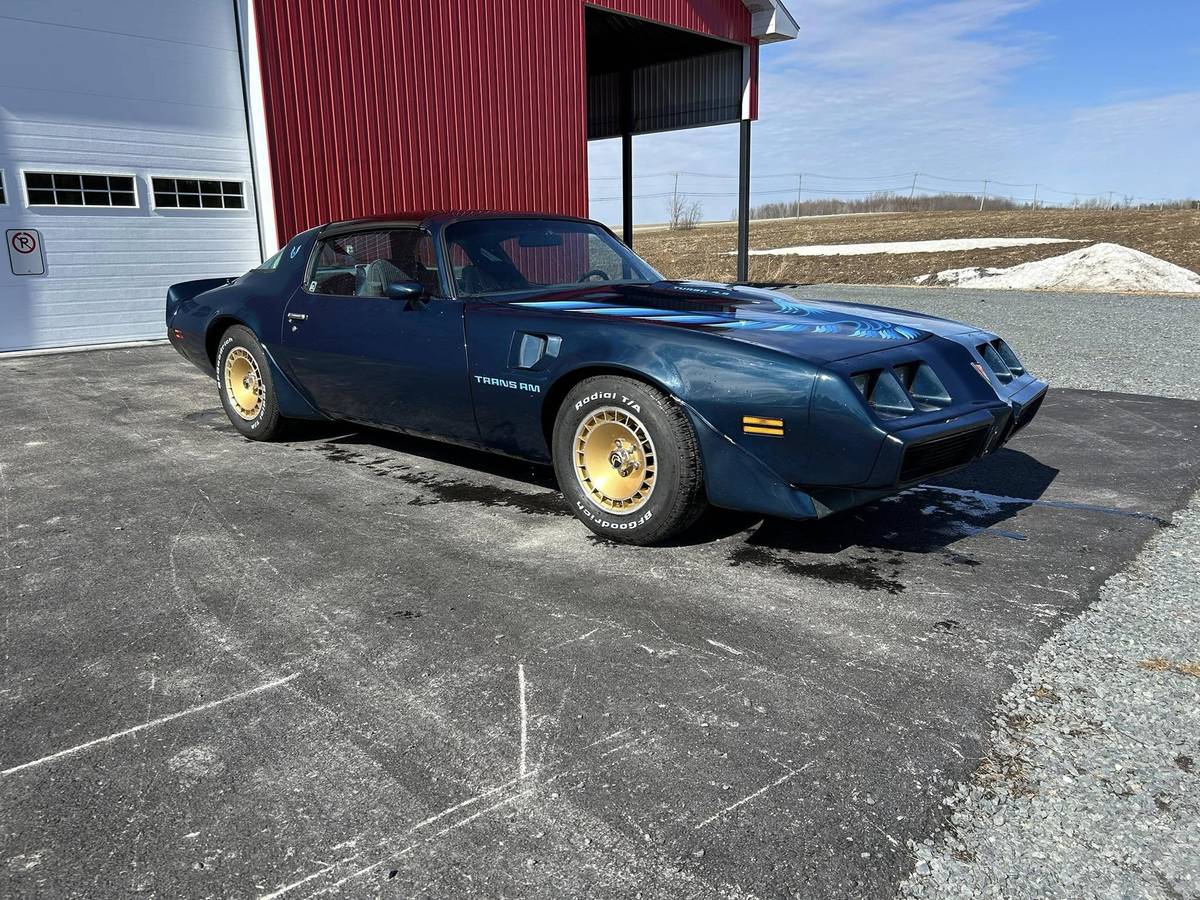 Pontiac-Trans-am-4.9-turbo-1981-blue-23