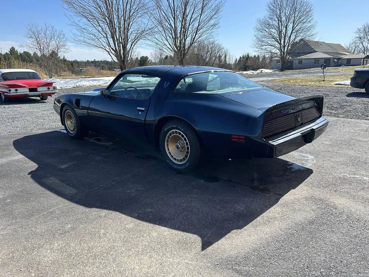 Pontiac-Trans-am-4.9-turbo-1981-blue-3