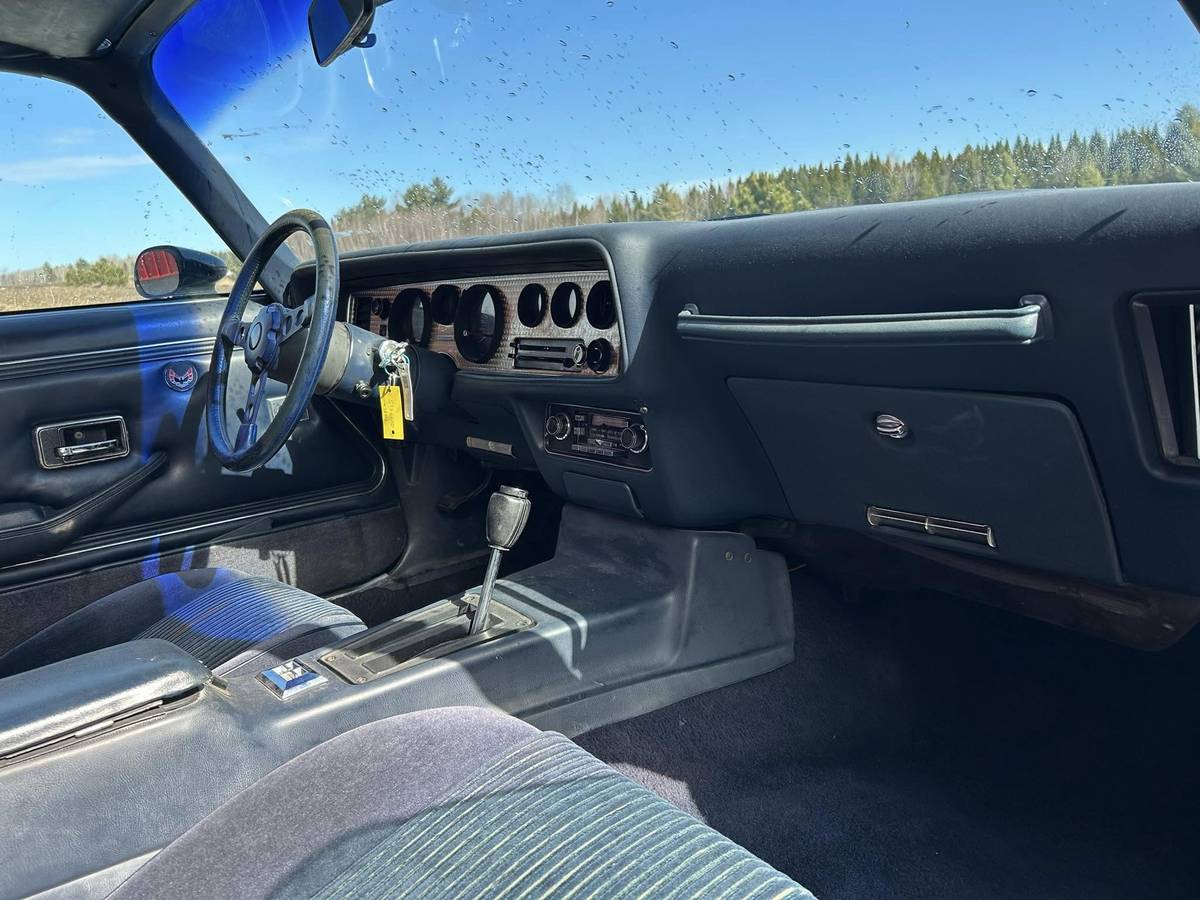Pontiac-Trans-am-4.9-turbo-1981-blue-4