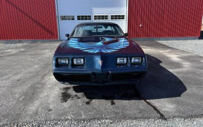 Pontiac Trans am 4.9 turbo  1981 blue