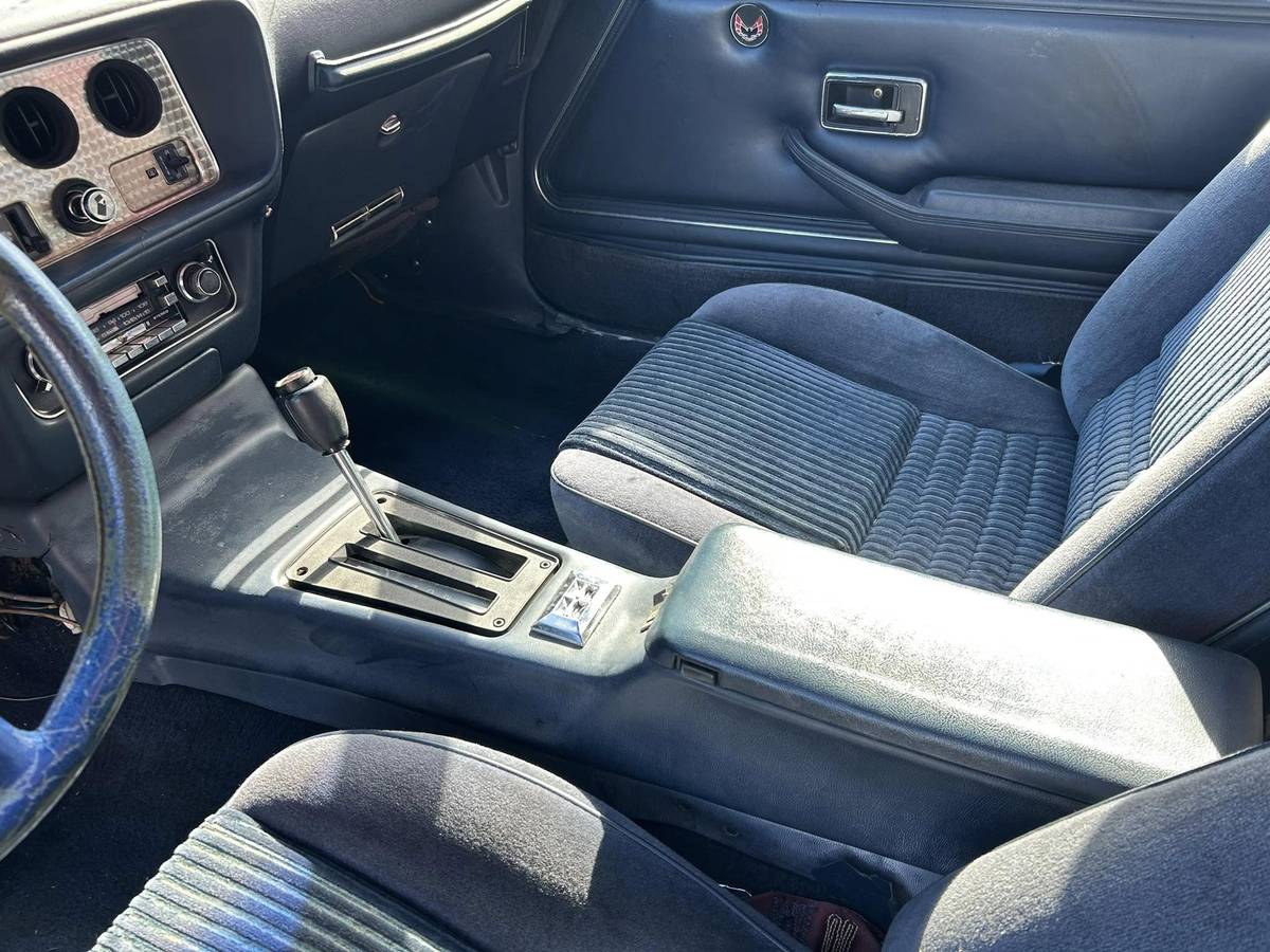 Pontiac-Trans-am-4.9-turbo-1981-blue-6