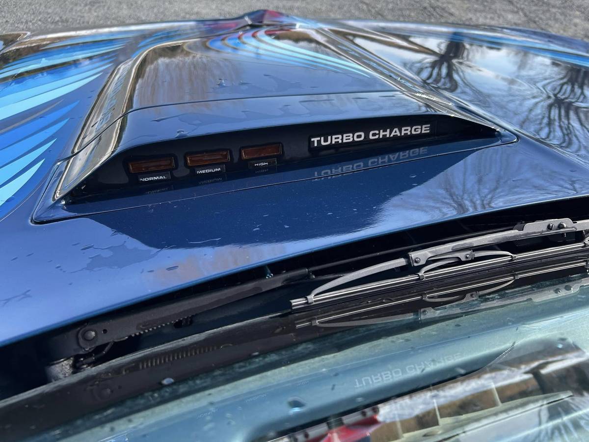 Pontiac-Trans-am-4.9-turbo-1981-blue-8