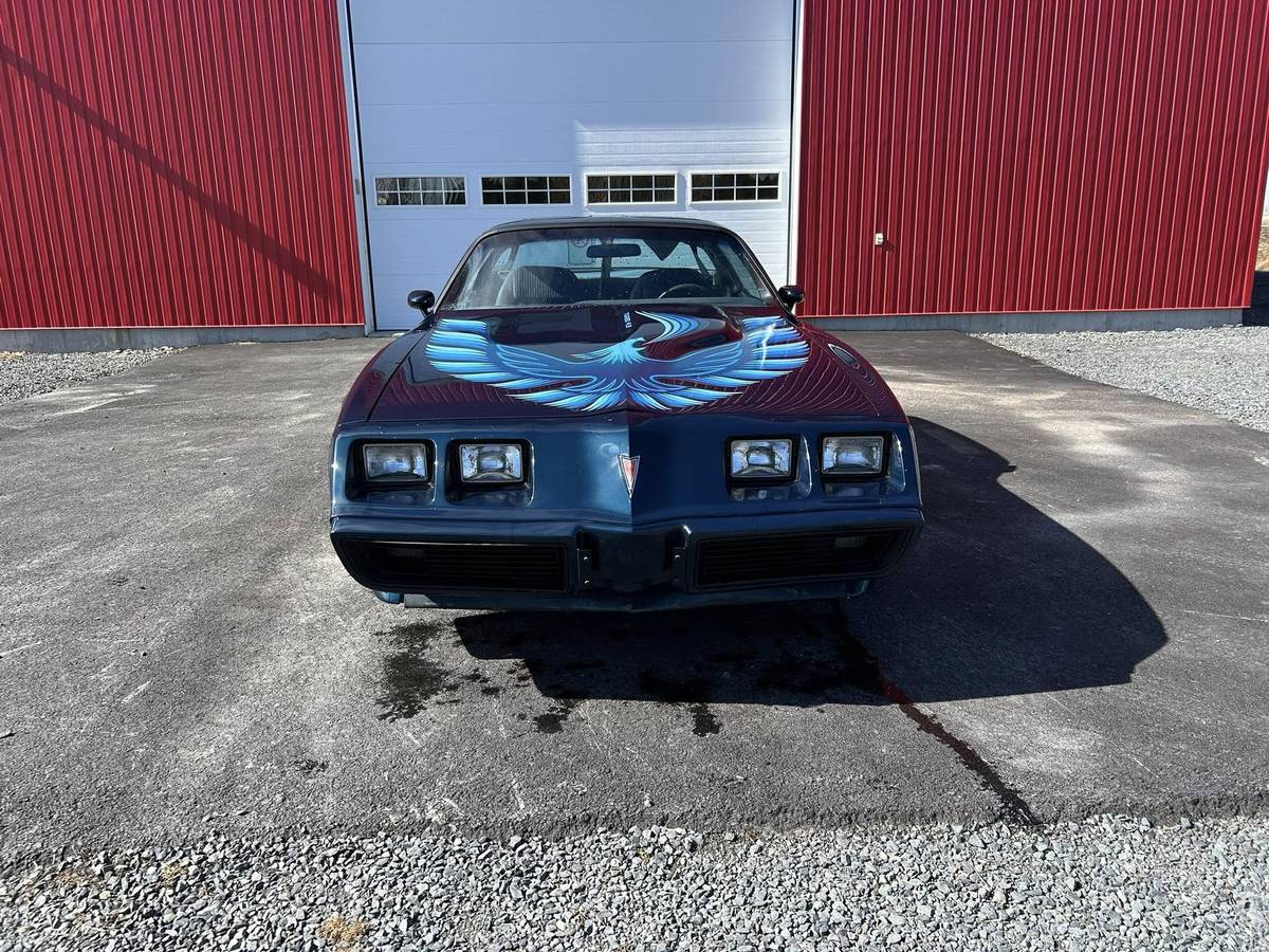 Pontiac-Trans-am-4.9-turbo-1981-blue
