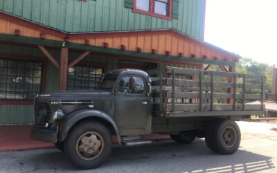 REO Speedwagon 1949 Wagon