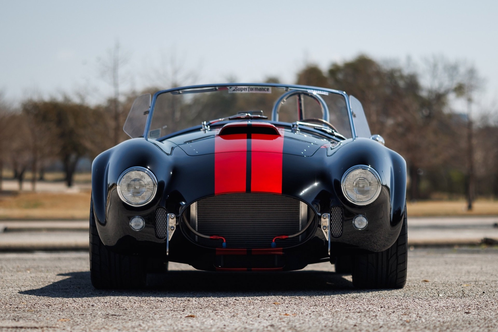 Shelby-Cobra-1965-Convertible-11
