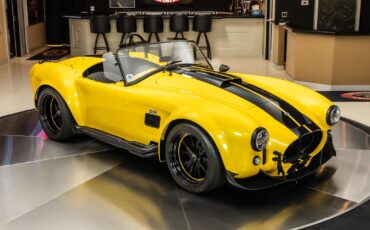 Shelby-Cobra-1965-Other-10