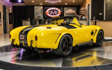 Shelby-Cobra-1965-Other-12
