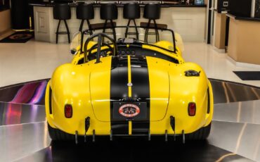 Shelby-Cobra-1965-Other-15