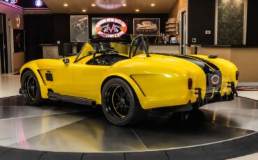 Shelby-Cobra-1965-Other-16