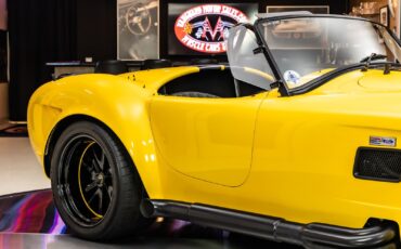 Shelby-Cobra-1965-Other-22