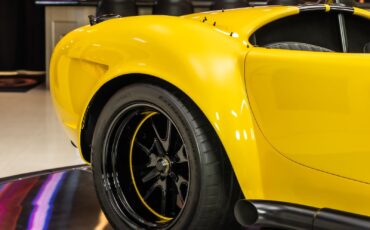 Shelby-Cobra-1965-Other-23