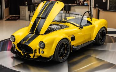 Shelby-Cobra-1965-Other-6