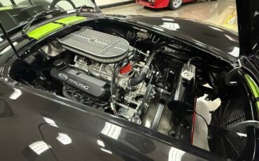 Shelby-Cobra-1965-Roadster-28