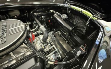 Shelby-Cobra-1965-Roadster-30