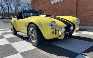Shelby-Cobra-1966-Coupe-1