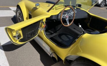 Shelby-Cobra-1966-Coupe-19