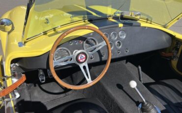 Shelby-Cobra-1966-Coupe-21