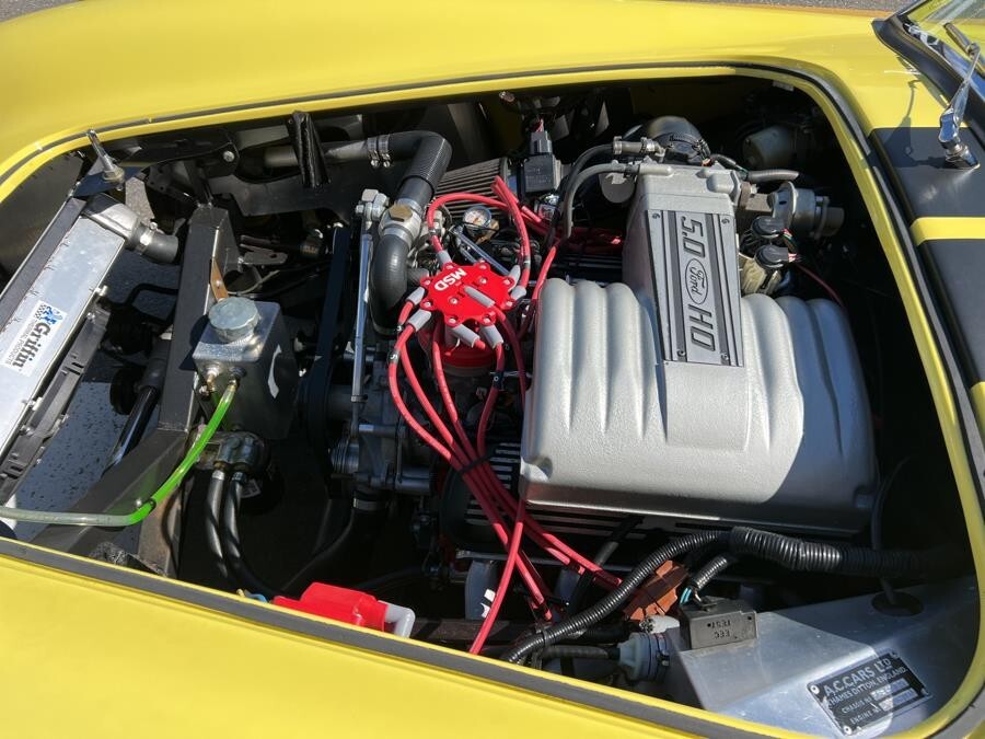 Shelby-Cobra-1966-Coupe-31