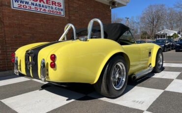 Shelby-Cobra-1966-Coupe-4