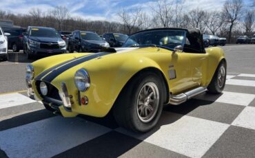 Shelby-Cobra-1966-Coupe-8