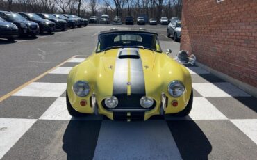Shelby-Cobra-1966-Coupe-9