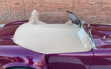 Shelby-Cobra-1967-Coupe-14
