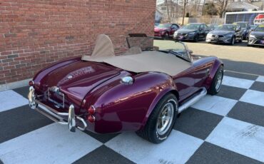 Shelby-Cobra-1967-Coupe-15